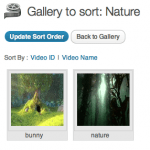 Cool Video Gallery plugin